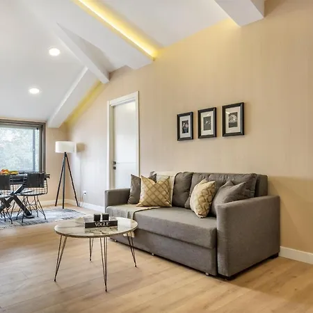 Ciragan Bosphorus Apartment Istanbul