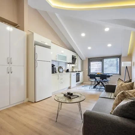 أس في كيه البوسفور ريزيدنس شقة اسطنبول